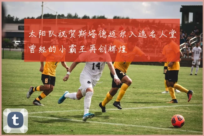 太阳队祝贺斯塔德迈尔入选名人堂曾经的小霸王再创辉煌