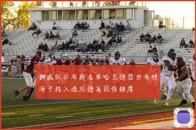 挪威队公布新名单哈兰德瑟尔洛特海于格入选厄德高因伤缺席