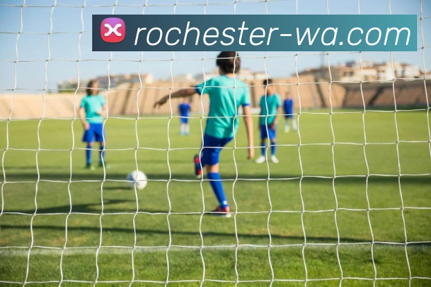 开云·体育-中国一站式服务平台平台生态图