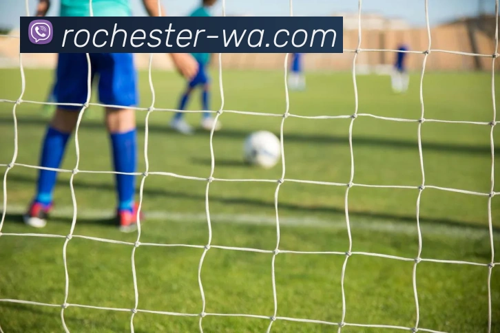 开云·体育-中国一站式服务平台APP 封面图